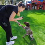 staff shaking hands with a dog